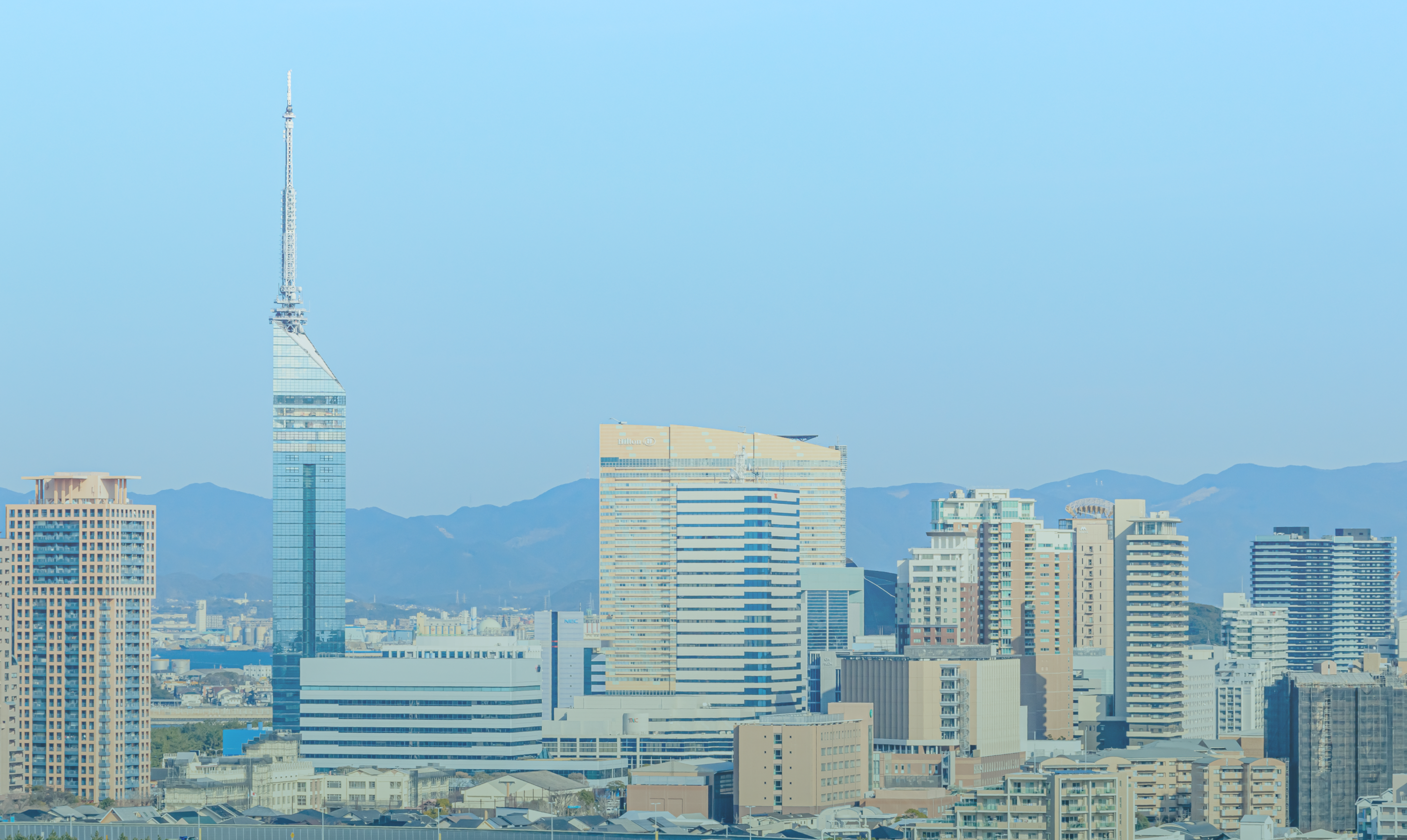 経営に笑顔を、会社に確かな強さを。